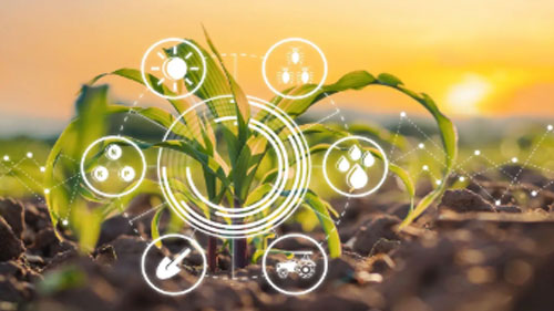 Agriculture Solutions