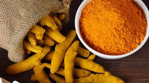 Turmeric Exporter